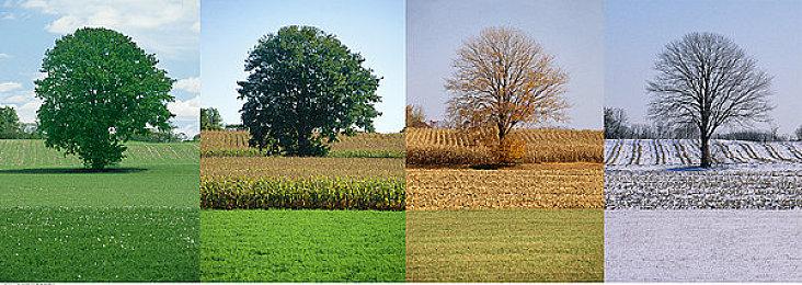 《魔界战记7》スイセン角色介绍 1月26日发售