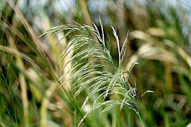 Steam及Epic商城开启PlayStation游戏促销